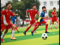 大田市民VS光州FC直播_大田市民VS光州FC直播在线观看_大田市民VS光州FC比赛高清直播